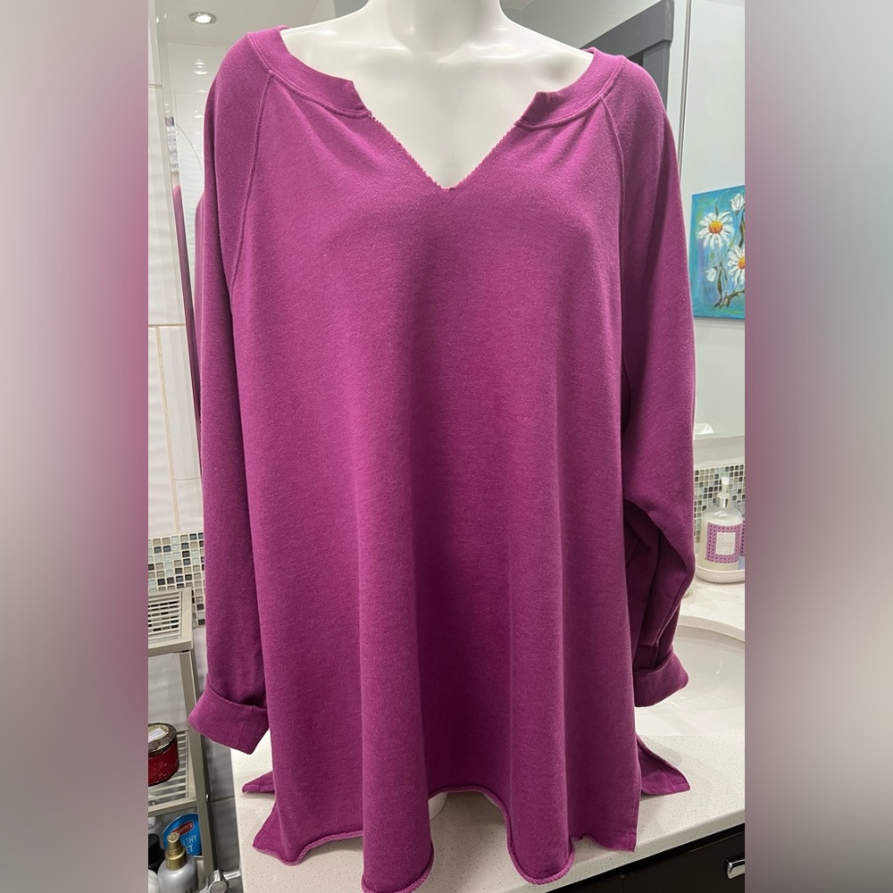 Size 2X Terra & Sky Swearshirt